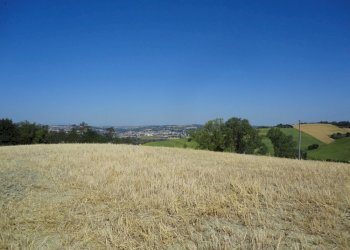 Foto 18 - Agricultural land Bagnatora, Jesi - photo 15