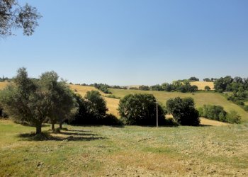 Foto 19 - Agricultural land Bagnatora, Jesi - photo 16