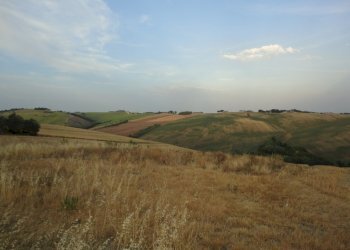 Foto 4 - Agricultural land coste, Poggio San Marcello - photo 3