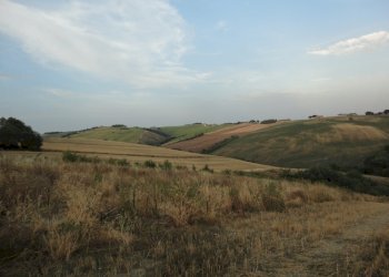 Foto 5 - Agricultural land coste, Poggio San Marcello - photo 4