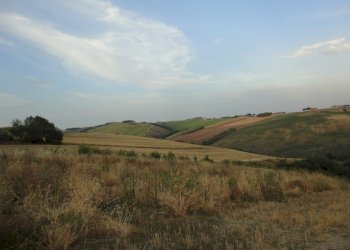 Foto 6 - Agricultural land coste, Poggio San Marcello - photo 5