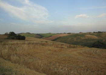 Foto 7 - Agricultural land coste, Poggio San Marcello - photo 6