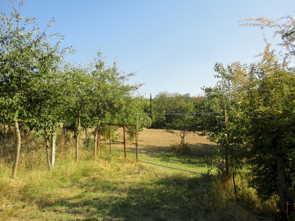 Foto 1 - Azienda agricola Via Serra, San Marcello - foto 1
