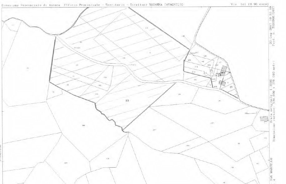 Foto 17 - Azienda agricola Via Serra, San Marcello - planimetria 1