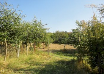 Foto 1 - Azienda agricola Via Serra, San Marcello - foto 1