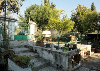 Foto 16 - Azienda agricola Via Serra, San Marcello - foto 16