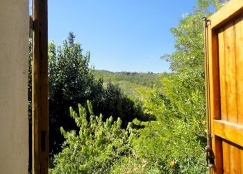 Foto 20 - Azienda agricola Via Serra, San Marcello - foto 19