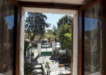 Foto 24 - Azienda agricola Via Serra, San Marcello - foto 22