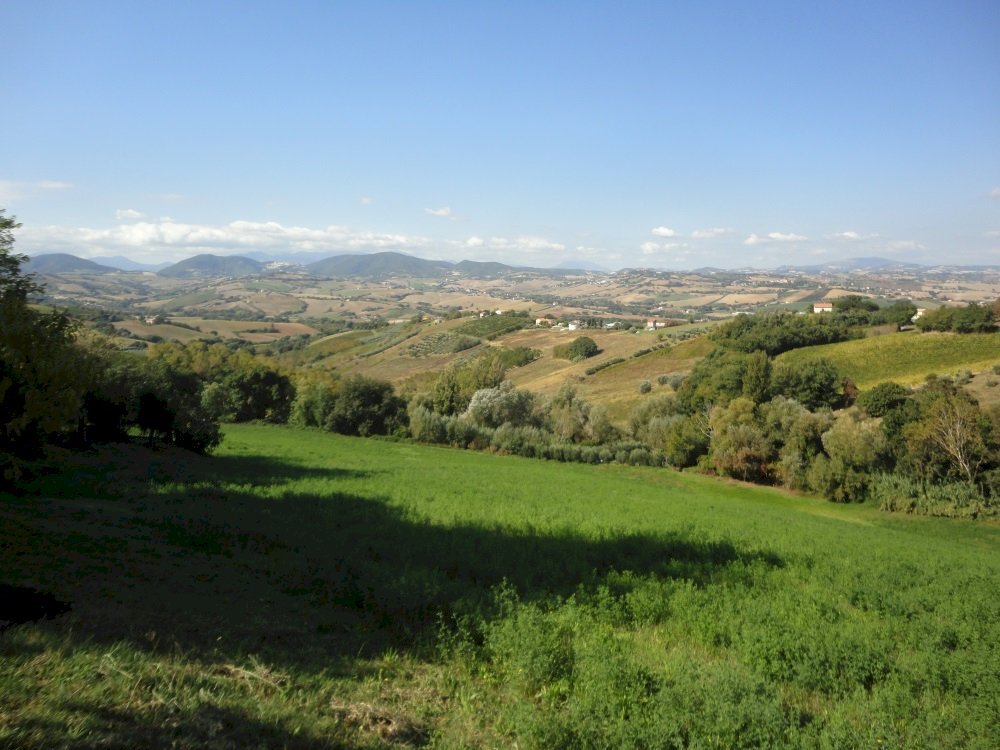Vista - Azienda agricola Colle Ravara
27, Serra de' Conti - foto 2