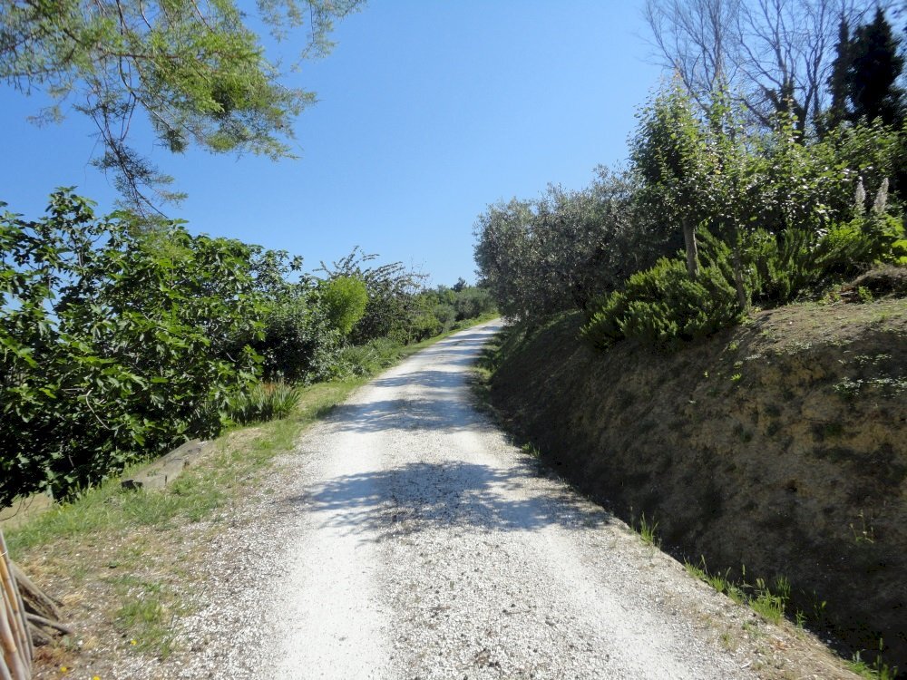 Strada - Azienda agricola Colle Ravara
27, Serra de' Conti - foto 3