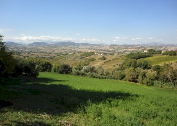 Vista - Azienda agricola Colle Ravara
 
27, Serra de' Conti - foto 2