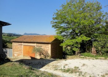 Magazzino - Azienda agricola Colle Ravara
 
27, Serra de' Conti - foto 4