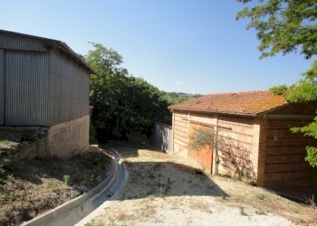 Foto 7 - Azienda agricola Colle Ravara
 
27, Serra de' Conti - foto 6