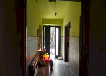 Foto 12 - Azienda agricola Colle Ravara
 
27, Serra de' Conti - foto 11