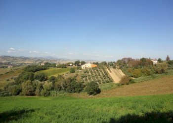 Foto 18 - Azienda agricola Colle Ravara
 
27, Serra de' Conti - foto 13