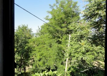 Foto 19 - Azienda agricola Colle Ravara
 
27, Serra de' Conti - foto 14