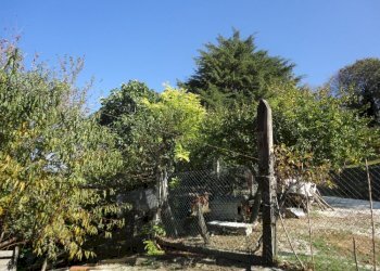 Foto 21 - Azienda agricola Colle Ravara
 
27, Serra de' Conti - foto 16