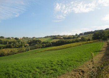 Foto 1 - Terreno agricolo Colle Ravara, Serra de' Conti - foto 1