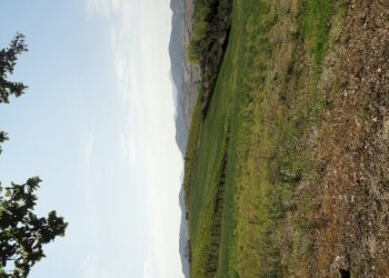 Foto 4 - Terreno agricolo Colle Ravara, Serra de' Conti - foto 4