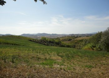 Foto 6 - Terreno agricolo Colle Ravara, Serra de' Conti - foto 6