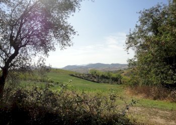 Foto 7 - Terreno agricolo Colle Ravara, Serra de' Conti - foto 7