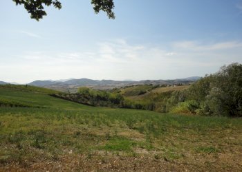 Foto 8 - Terreno agricolo Colle Ravara, Serra de' Conti - foto 8
