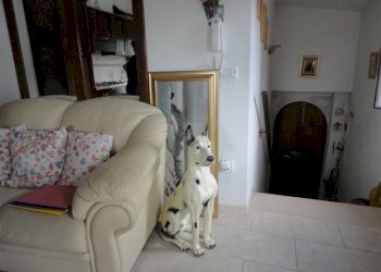 Foto 17 - Appartamento frazione prosano
 
86, Arcevia - foto 15