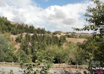 Foto 22 - Appartamento frazione prosano
 
86, Arcevia - foto 20