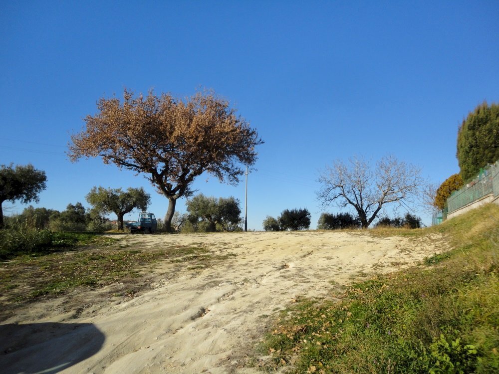 Foto 3 - Terreno edificabile villa Torre, Cingoli - foto 3