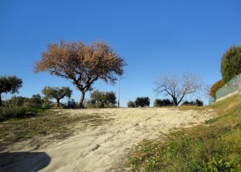 Foto 3 - Terreno edificabile villa Torre, Cingoli - foto 3