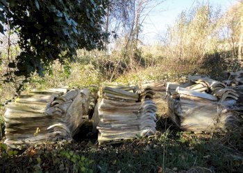 Foto 4 - Terreno edificabile villa Torre, Cingoli - foto 4