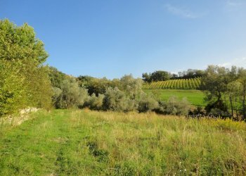 Foto 5 - Terreno edificabile colle ravara, Serra de' Conti - foto 4
