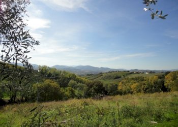 Foto 6 - Terreno edificabile colle ravara, Serra de' Conti - foto 5