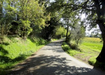 Foto 7 - Terreno edificabile colle ravara, Serra de' Conti - foto 6