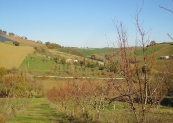 Foto 8 - Villa XXV aprile
 
63, Castelplanio - foto 8