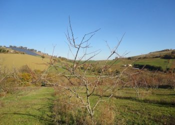 Foto 9 - Villa XXV aprile
 
63, Castelplanio - foto 9