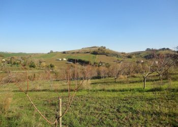 Foto 10 - Villa XXV aprile
 
63, Castelplanio - foto 10