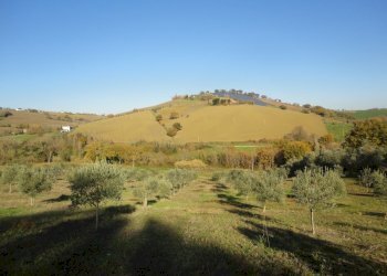 Foto 11 - Villa XXV aprile
 
63, Castelplanio - foto 11