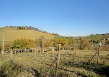 Foto 12 - Villa XXV aprile
 
63, Castelplanio - foto 12