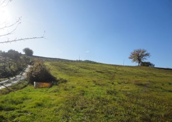 Foto 13 - Villa XXV aprile
 
63, Castelplanio - foto 13