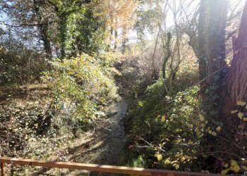 Foto 23 - Villa XXV aprile
 
63, Castelplanio - foto 23