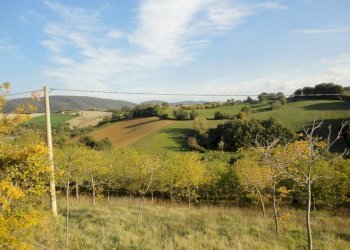 Foto 5 - Rustico via casarini, Apiro - foto 5