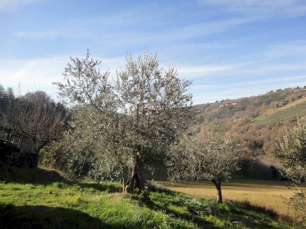 Foto 2 - Rustic contrada Balciana
6, Poggio San Marcello - photo 2