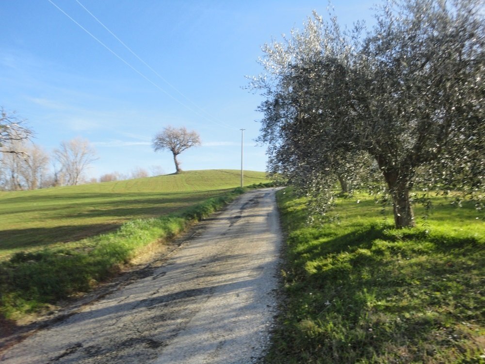 Foto 3 - Rustic contrada Balciana
6, Poggio San Marcello - photo 3