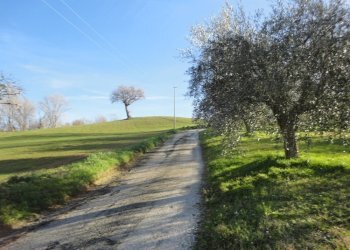 Foto 3 - Rustic contrada Balciana
 
6, Poggio San Marcello - photo 3