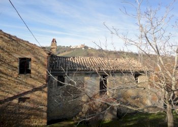 Foto 5 - Rustic contrada Balciana
 
6, Poggio San Marcello - photo 5