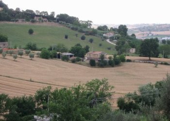 vista - Rustico contrada fonte janni, Montelupone - foto 2