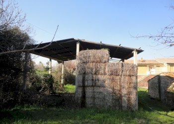 Foto 5 - Rustico contrada fonte janni, Montelupone - foto 5