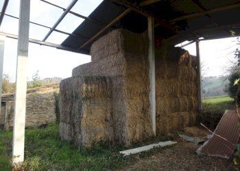 fienile - Rustico contrada fonte janni, Montelupone - foto 15