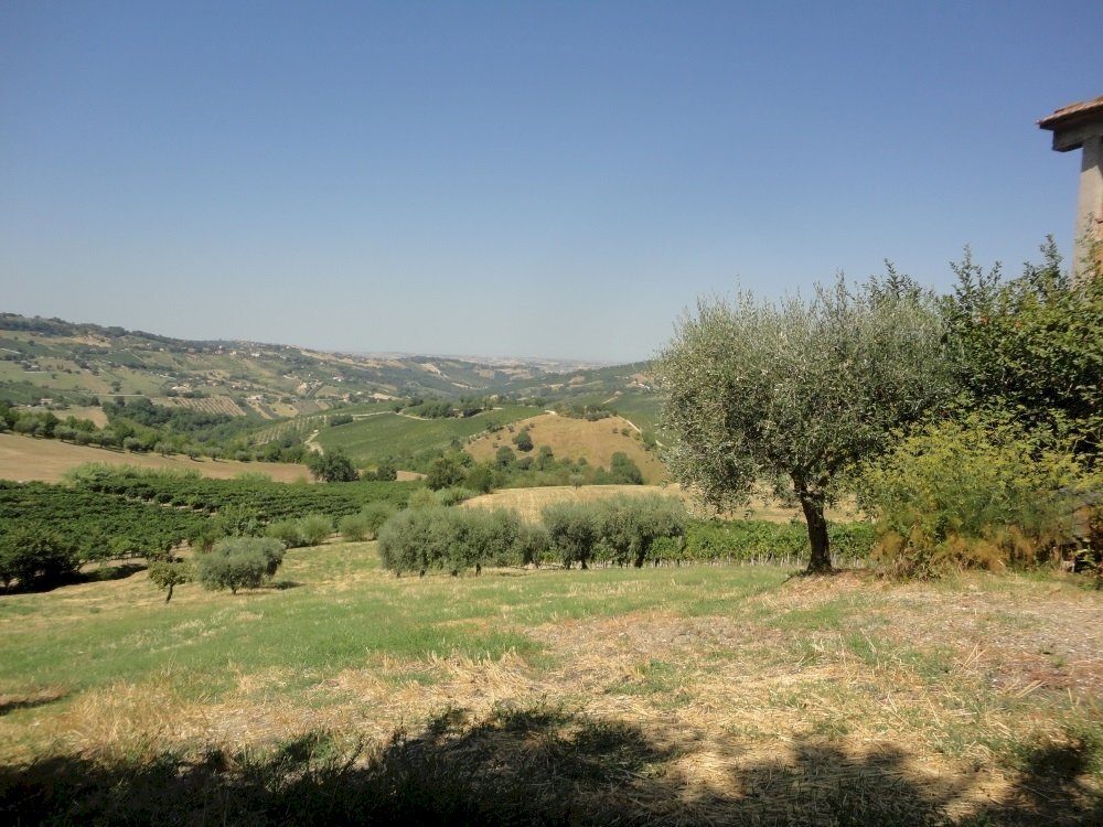 Foto 1 - Agricultural land Brecciole, Cupramontana - photo 1